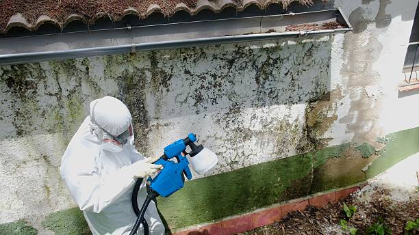 Top rated local Mold Remediation specialists in Cairnbrook, PA